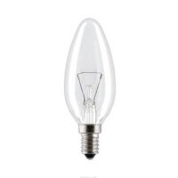 Лампа накаливания ДС 220-230-60W/E14