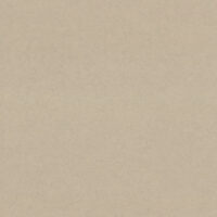 Обои Эра 9256-12 рулон 10м