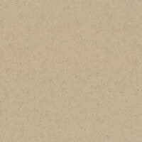 Обои Эра 9256-22 рулон 10м