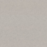Обои Эра 9256-23 рулон 10м